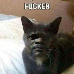 Meet your Posher, Vannessa